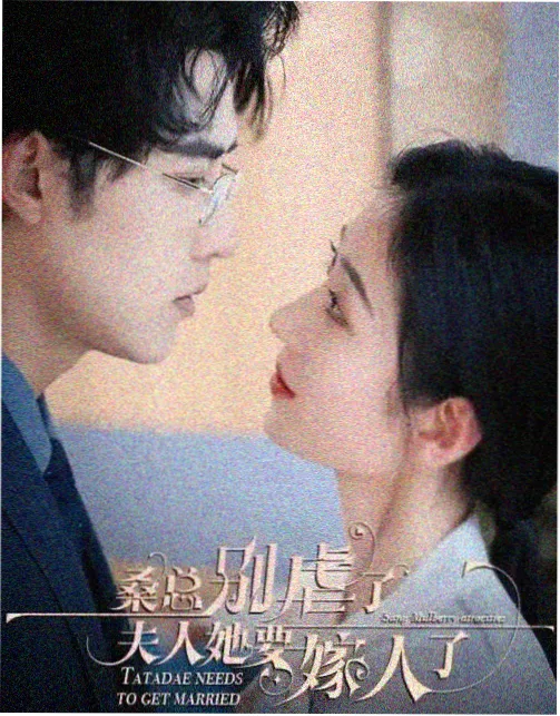 审计师的晚餐韩剧封面